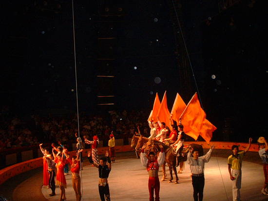 Circus Performance