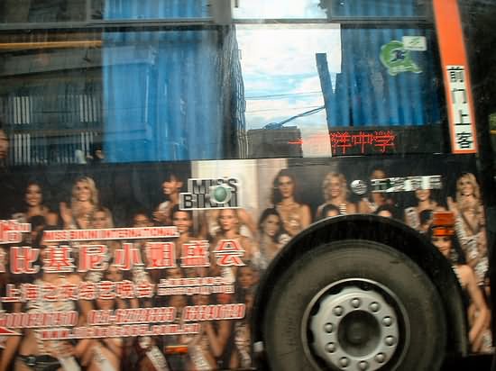 Miss Bikini International Miss Bikini International