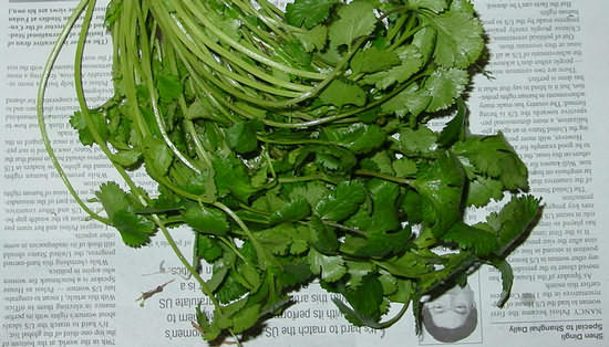Coriander - My Favorite Herb in the Chinese Kitchen
