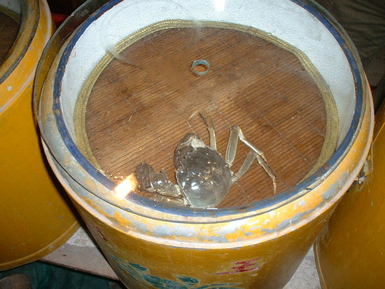 A Hairy Crab - Before