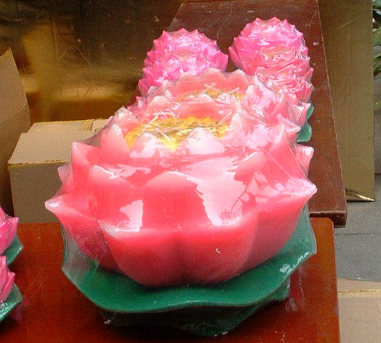 Lotus for Sale in Jade Buddha Monastery
